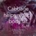  RED CABBAGE HALF (MEDIUM)  LEVIN Grown 